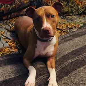 Meet your Posher, Rob